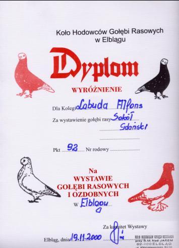 Dyplom