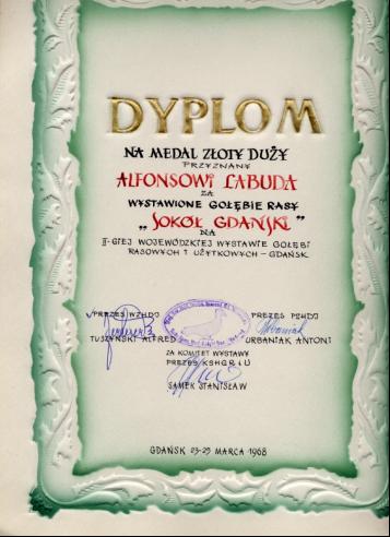 Dyplom