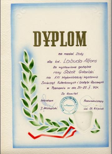 Dyplom