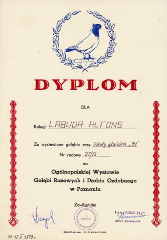 Dyplom